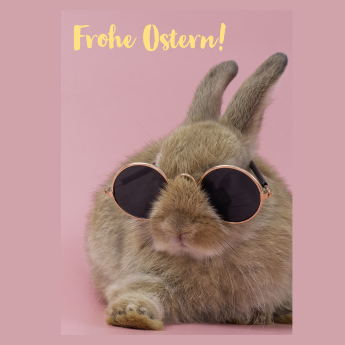 (c) Akademikerhilfe / Ostern