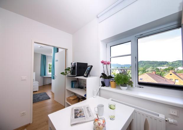 view of shared dining area and single room in an apartment 